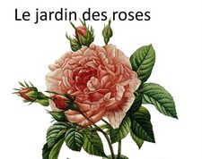 Schale Chippendale Rand mit